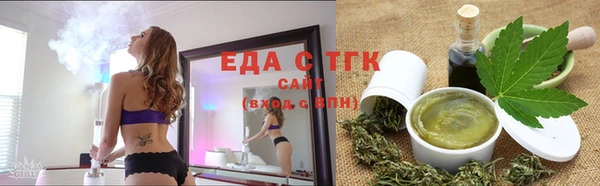 МДПВ Пересвет