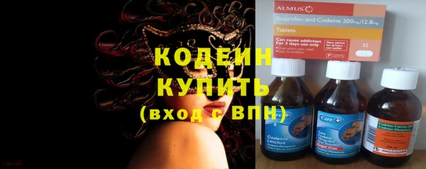 МДПВ Пересвет