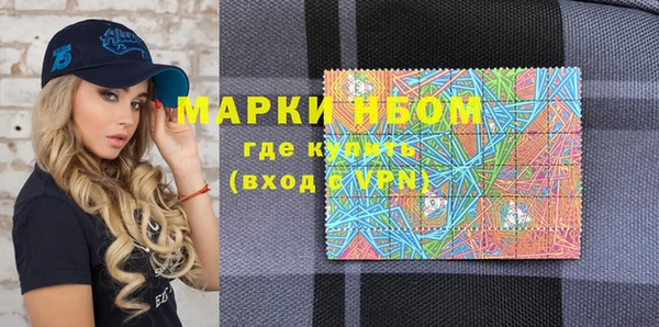 МДПВ Пересвет