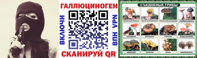 Галлюциногенные грибы Psilocybine cubensis  Приволжский 